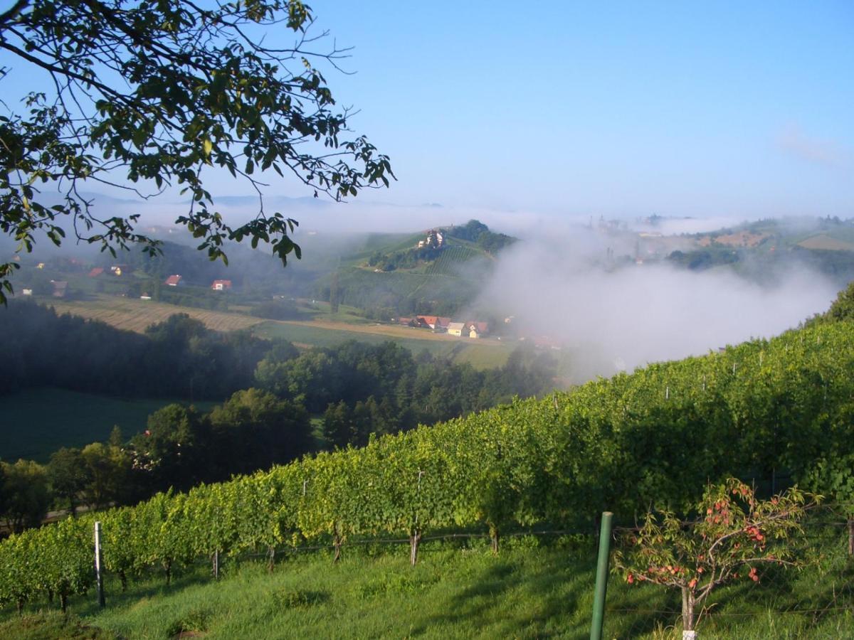 Das Weinberghaus Ratsch an der Weinstraße Buitenkant foto